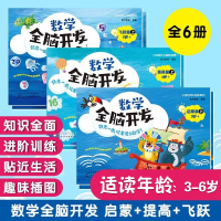 全6册 小豆包开心起航系列 数学全脑开发 启蒙+提高+飞跃3-6岁有效限价数学思维全脑开发练习册 儿童数学小学记忆力与专注力训练书