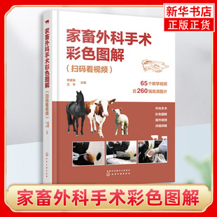 手术诊疗技术 化学工业出版 书籍 畜牧养殖 介绍了常见家畜疾病 凤凰新华书店正版 含有高清图片 社 家畜外科手术彩色图解 图文并茂