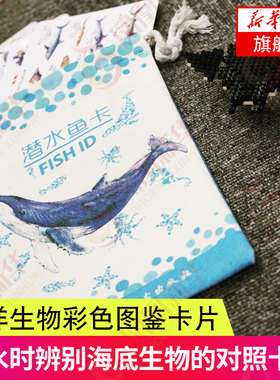 【新华书店旗舰店官网】潜水鱼卡 海水鱼百科 海洋海底生物彩色图鉴卡片 潜水时辨别海底生物的对照卡片 潜水爱好者入门书籍 正版