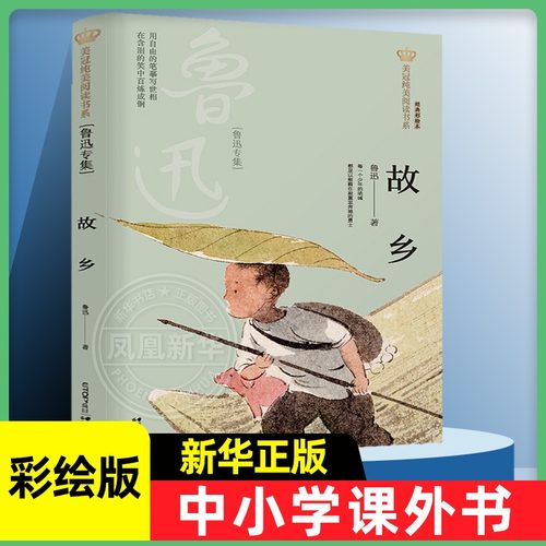 故乡 鲁迅专集经典彩绘本 美冠纯美阅读书系 儿童文学名家名作系列作品小学生课外阅读书籍三四五六年级课外书阅读 新华正版