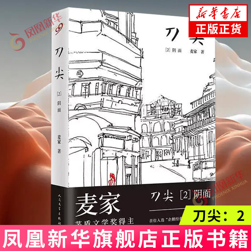 刀尖：2，阴面 麦家著 讲述了一场很壮烈的爱情 还原了一段半个多世纪前的真实历史 人民文学出版社 新华正版书籍