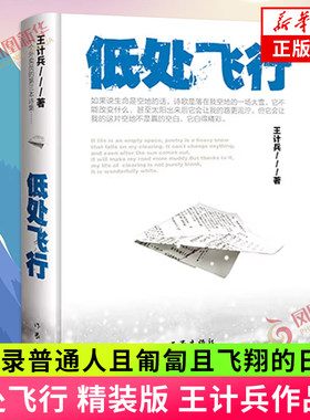 低处飞行中国当代诗集