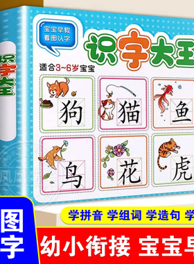识字大王3-6岁幼小衔接学前识字看图书亲子共读幼升小识字大王幼儿阅读与识字学前基础识字全脑记忆大班升一年级教材宝宝 新华正版