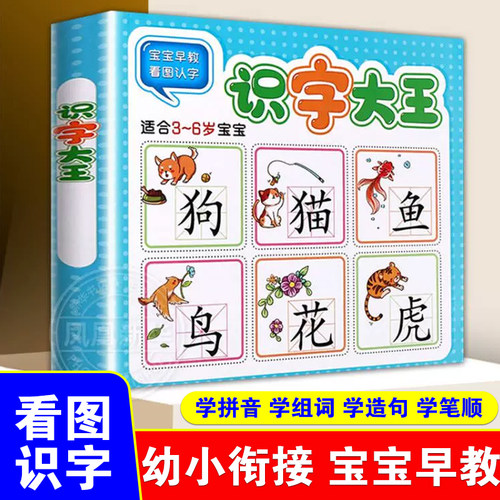 识字大王3-6岁幼小衔接学前识字