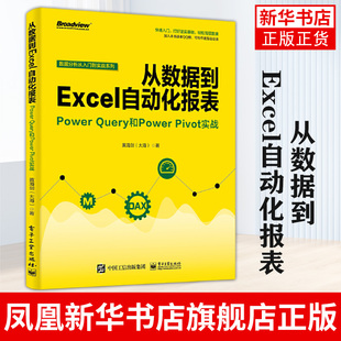 Query和Power 数据处理办公自动化软件正版 Pivot实战 基础函数应用 书籍 财务统计人力资源管理人员 从数据到Excel自动化报表Power