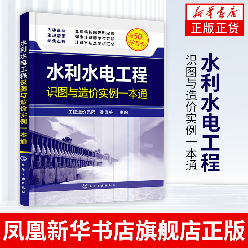 水利水电工程识图与造价实例一本通 张国栋 建筑工程清单定额工程量计算书籍 装饰装修造价师造价员技能入门 预算员入门书籍