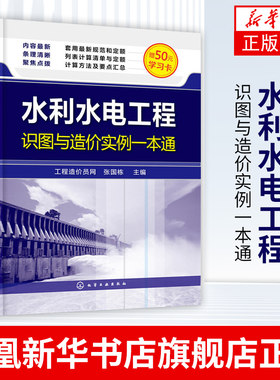 水利水电工程识图与造价实例一本通 张国栋 建筑工程清单定额工程量计算书籍 装饰装修造价师造价员技能入门 预算员入门书籍