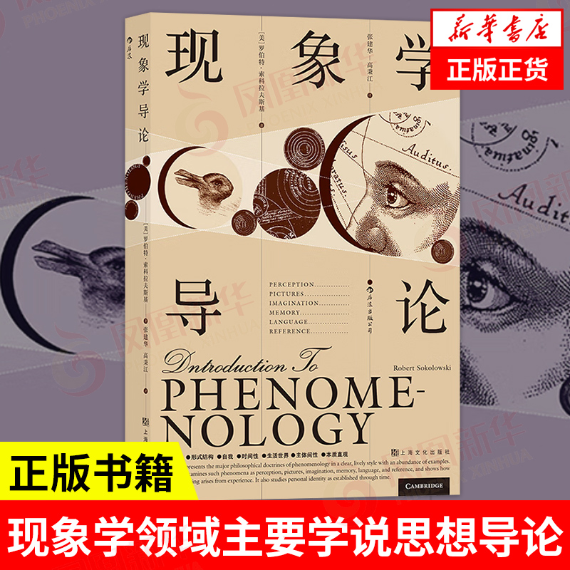 现象学导论思想导论哲学类书籍