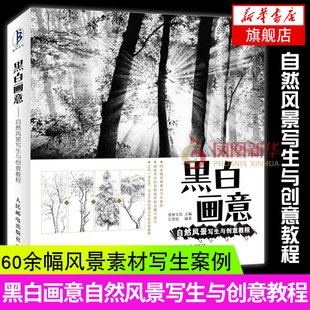 黑白画意 自然风景写生与创意 精湛绘画技法 风景画教程 详细图解风景画绘画步骤 设计创意绘画技法素描基础钢笔画教程