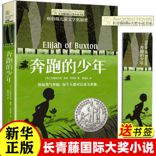 奔跑的少年长青藤国际大奖小说