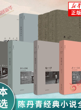 陈丹青的书文学作品全集