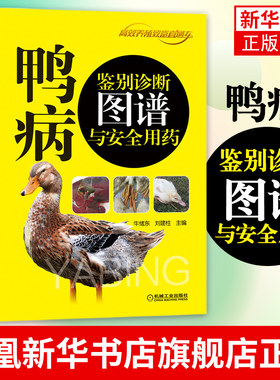 鸭病鉴别诊断图谱与安全用药 鸭病防治手册养鸡鸭鹅技术 ji病临床症状诊断思路及鉴别诊断要点 新华书店旗舰店官网正版