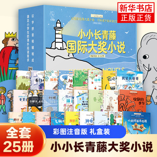 【礼盒装】全套25册小小长青藤国际大奖小说书系彩图注音莎拉的勇气会说话的猫灯塔上的光我是大哥哥收获的季节小学生课外阅读书籍