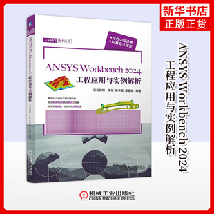 社凤凰新华书店旗舰店 2024工程应用与实例解析买买提明.艾尼机械工程机械工业出版 ANSYS Workbench