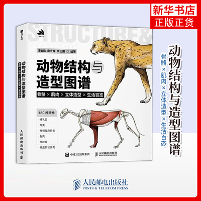 动物结构与造型图谱骨骼肌肉立体造型生活百态 动物结构外貌绘画参考书专业动物素材动物动态动物绘画