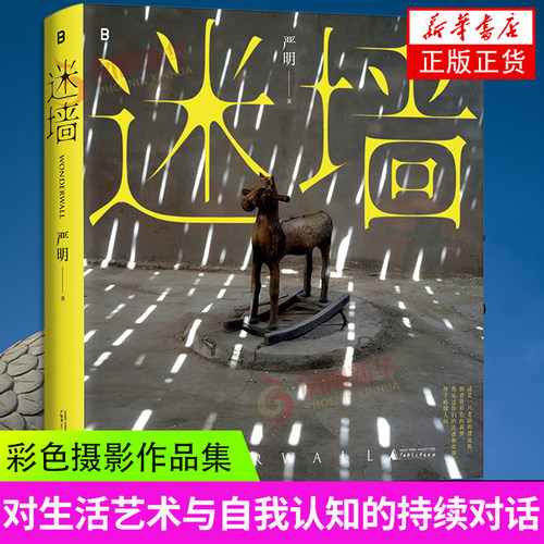 迷墙 严明著 侯登科奖得主严明摄影作品集 彩色摄影作品集 -对生活艺术与自我认知的持续对话 摄影艺术新华书店官网