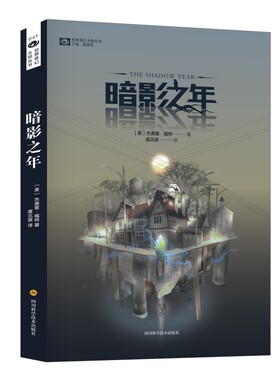 暗影之年 杰弗里福特 垃圾拼成的模型小镇 算法之下的百态人生 外国科幻小说 四川科学技术出版社 凤凰新华书店旗舰店 正版书籍