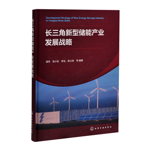长三角新型储能产业发展战略凌祥、李永明、李泓、陈立泉 等 编著能源与动力工程化学工业出版社凤凰新华书店旗舰店