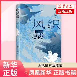 织风暴 郭玉洁 著 作家郭玉洁小说力作 当代女性破局之书冲破生活的围困织造属于自己的风暴 新星出版社 凤凰新华书店旗舰店