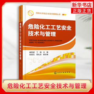 危险化工工艺安全技术与管理 危险化工工艺安全技术与管理 危险化学品安全管理书籍 危险化工工艺流程 危险因素 作业安全操作规程