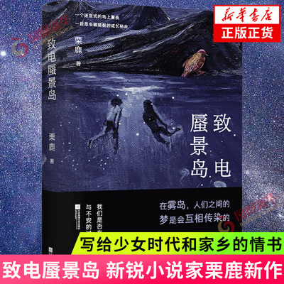 致电蜃景岛 一个迷宫式的岛上夏夜一段昆虫鳞翅般的成长秘辛 栗鹿 写给少女时代和家乡的情书现当代文学散文随笔 凤凰新华书店正版