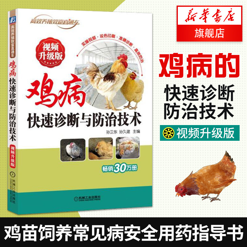 鸡病快su诊断与防治技术(视频升级版) 孙卫东 鸡病鉴别诊断治疗图谱 实用养鸡技术书籍 母鸡公鸡鸡苗饲养常见病安全用药指导书籍