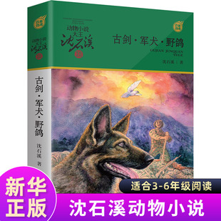 古剑军犬野鸽 动物小说大王沈石溪军旅系列7-10-12岁童文学故事书小学生三四五六年级课外阅读读物浙江少年儿童出版社凤凰新华正版