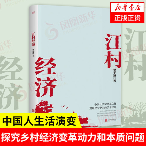 江村经济费孝通社会科学书籍