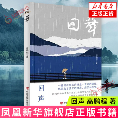 回声 高鹏程 著 岁月回声 残损之美 悖谬之诗 万物之谜 量子纠缠等 对细碎生活的美的感悟与体会 中国言实出版社 新华正版书籍