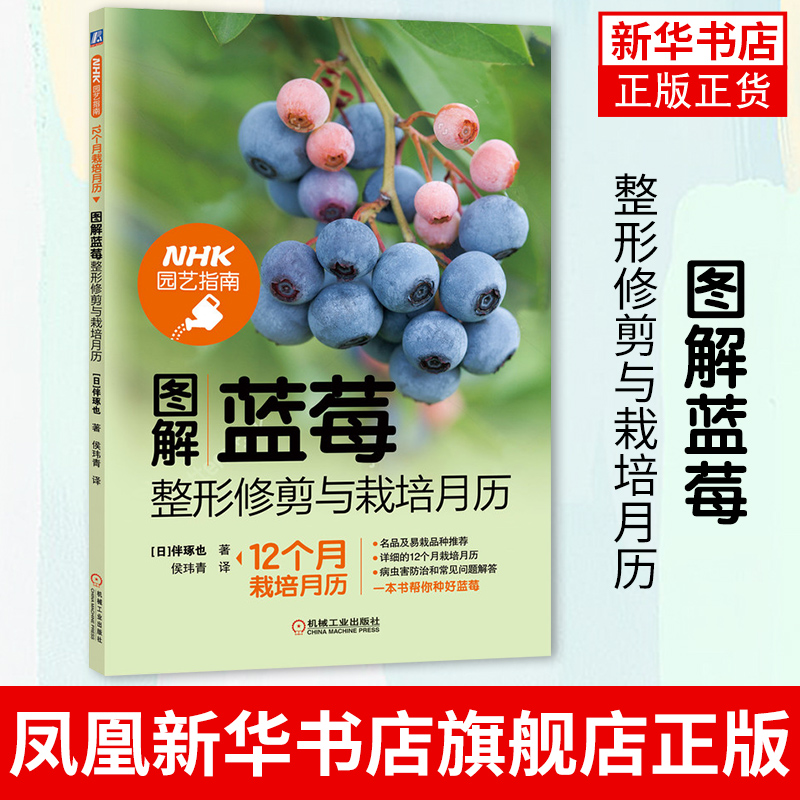 图解蓝莓整形修剪与栽培月历 NHK园艺指南 蓝莓种植整形修剪 病虫害防治图解教程 蓝莓栽培指南 蓝莓植株修剪维护方法技巧正版图书