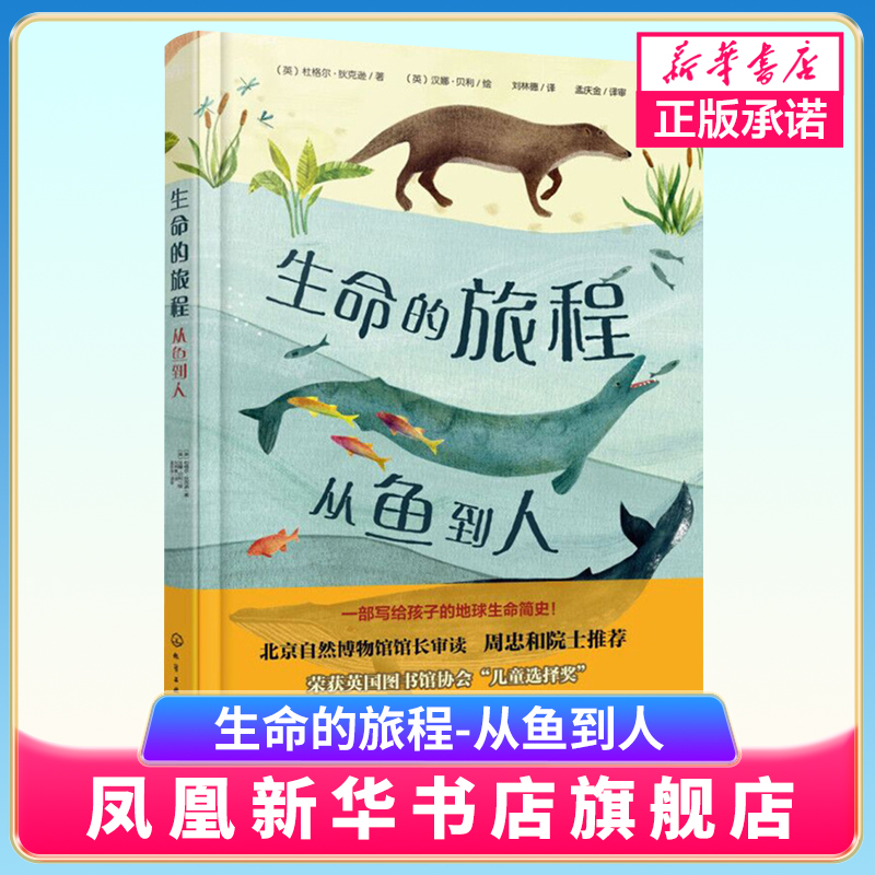 生命的旅程从鱼到人生命简史