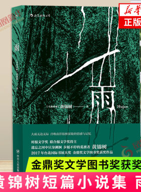 雨Hujan 黄锦树著 大雨无边无际 召唤南洋胶林深处的情感与记忆 文学短篇小说书籍 四川人民出版社凤凰新华书店旗舰店正版书籍