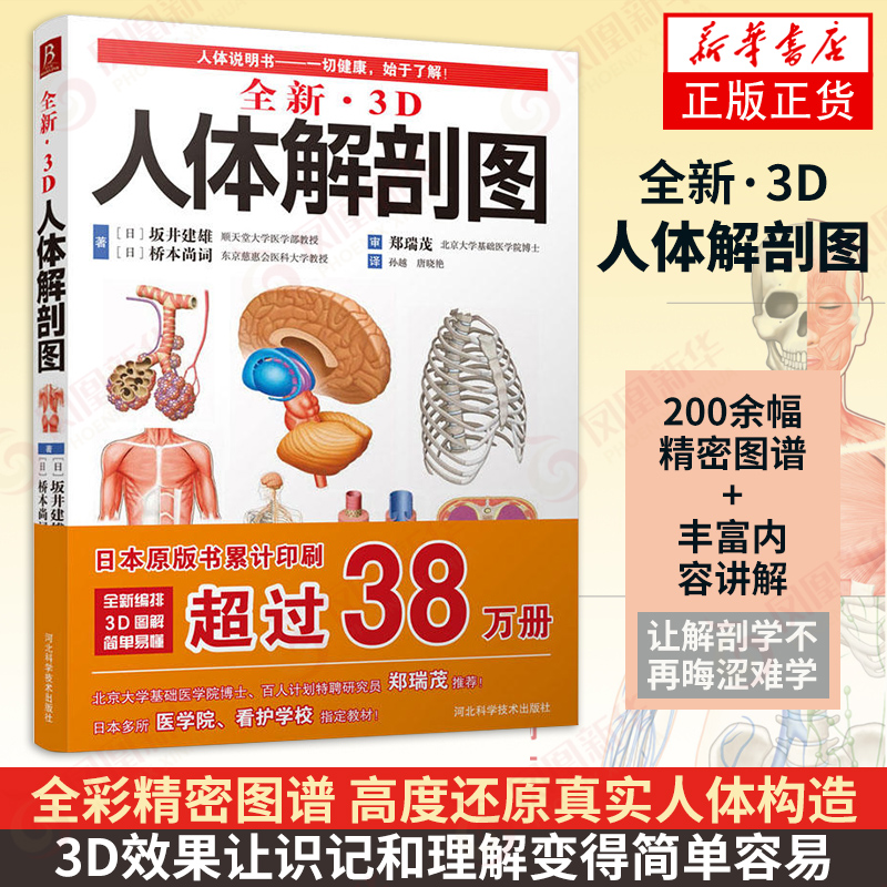 全新3D人体解剖图 人体肌肉解剖运动解剖学断层局部解剖学图谱解剖书教材卫生解剖生理学专业基础医学书运动解剖图谱 新华书店正版