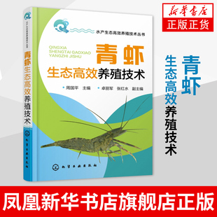 青虾生态高效养殖技术 渔业海鲜生物养殖指导手册 养殖技术青虾繁殖繁育病害防治教程书籍 水产生态养殖技术丛书