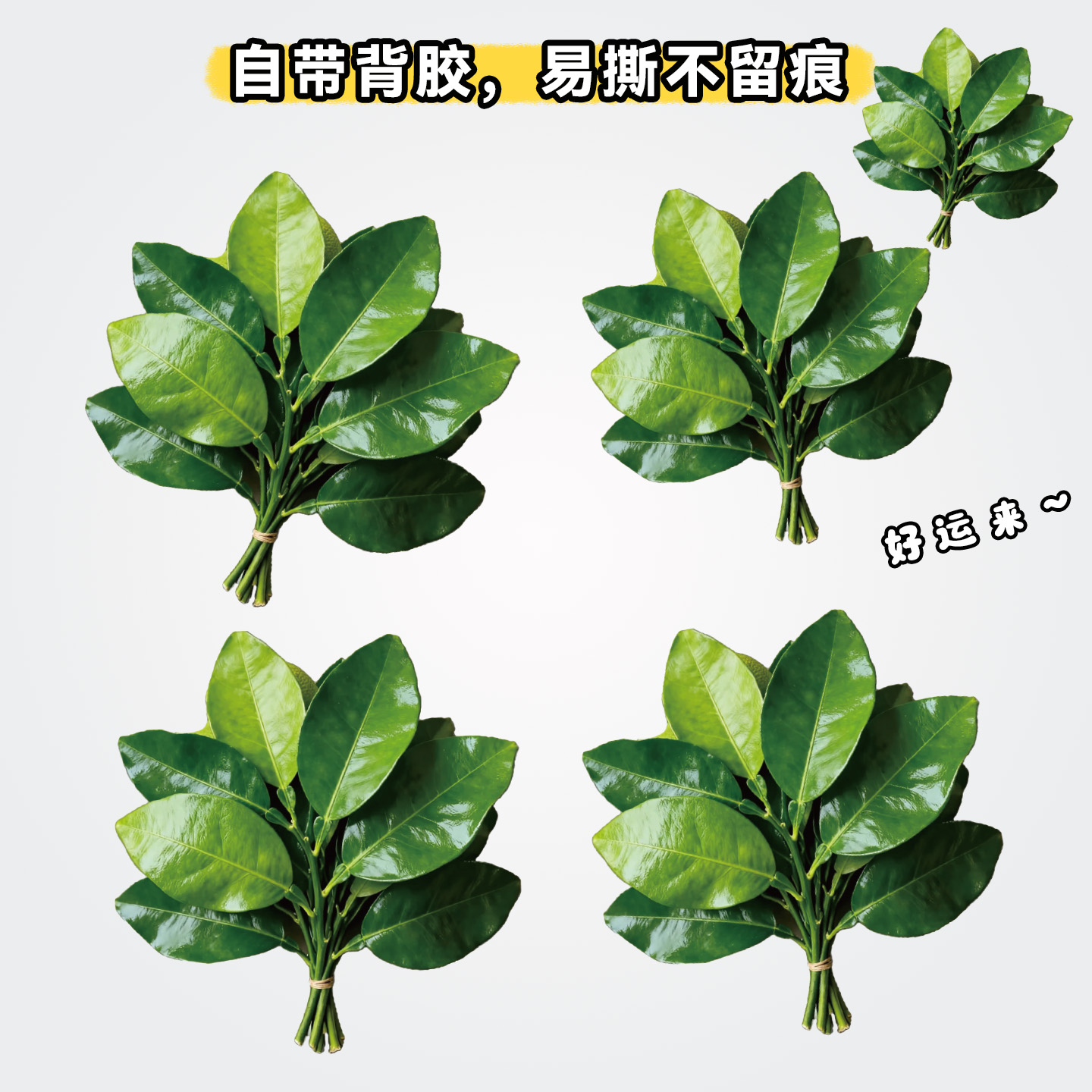 适用于车身遮挡划痕汽车贴纸