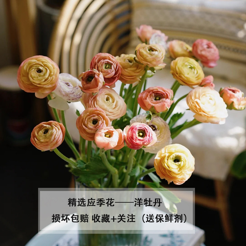 精选云南基地洋牡丹花毛茛鲜花花束办公家用水养插花任意两束包邮