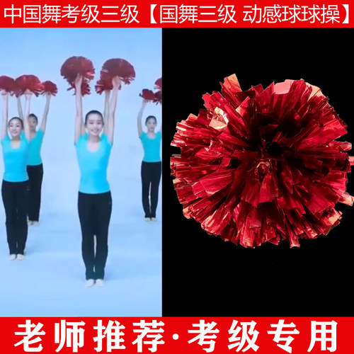 文旅部人才中心中国舞艺术考级第三级动感球球操舞蹈道具手球一对