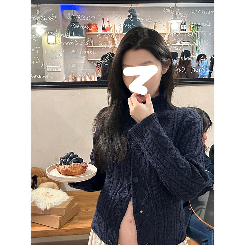 Drawdream 韩系高领单排扣麻花针织毛衣开衫女秋冬设计感百搭上衣