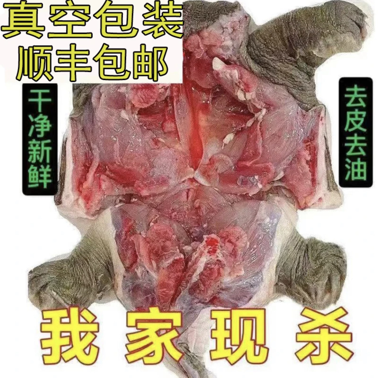 【活体现杀】顺丰外塘生态大甲鱼青黄背中华老鳖王八水鱼团鱼王八,水产肉类/新鲜蔬果/熟食,甲鱼,淘宝优惠券,粉丝福利购,淘宝优惠卷