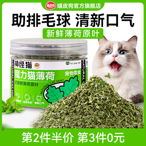 新鲜日期天然猫咪可食用猫薄荷