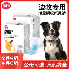 边牧专用生理裤狗狗纸尿裤宠物尿不湿公狗母狗狗防交配神器