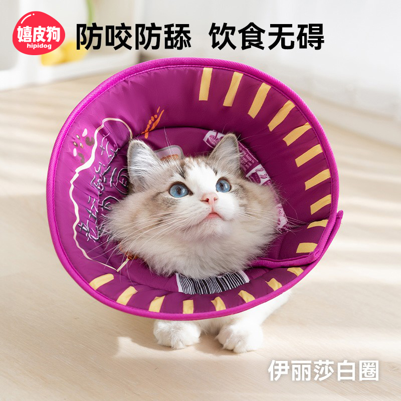 抖音爆款泡面搞怪伊丽莎白圈