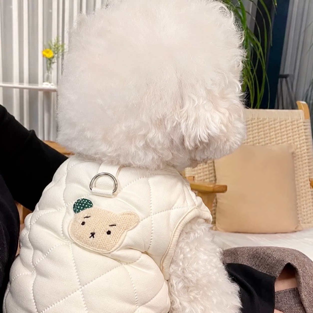 网红小熊棉衣宠物冬季比熊博美雪纳瑞小型犬猫咪泰迪狗狗衣服秋冬