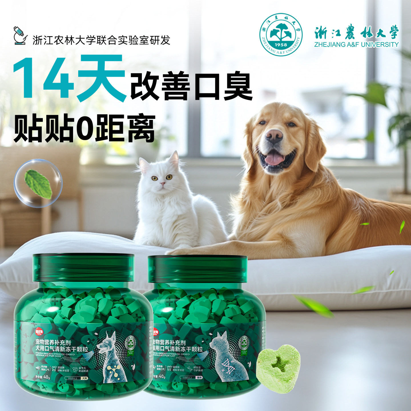 口气清新魔方猫咪口臭神器口气冻干狗狗除嘴臭益生菌口腔清洁罐装