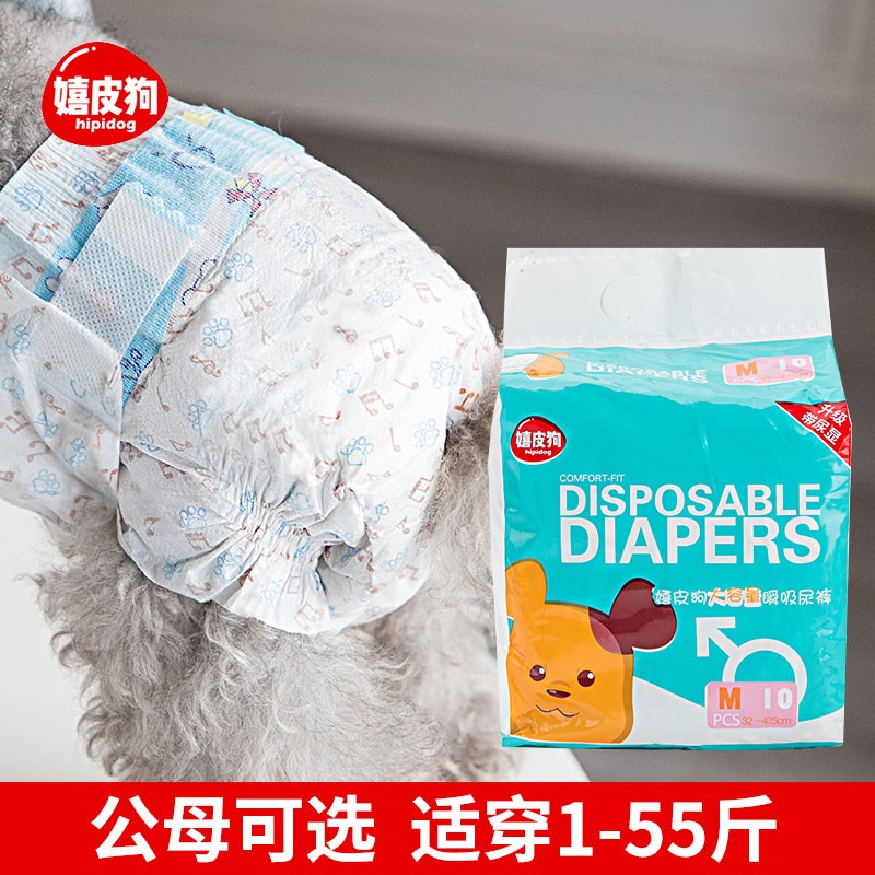 生理泰迪宠物月经专用母狗