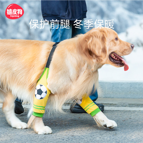 狗狗专业宠物护腿衣秋冬季外出