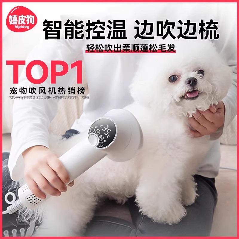 热卖好物丨宠物智能吹梳一体机
