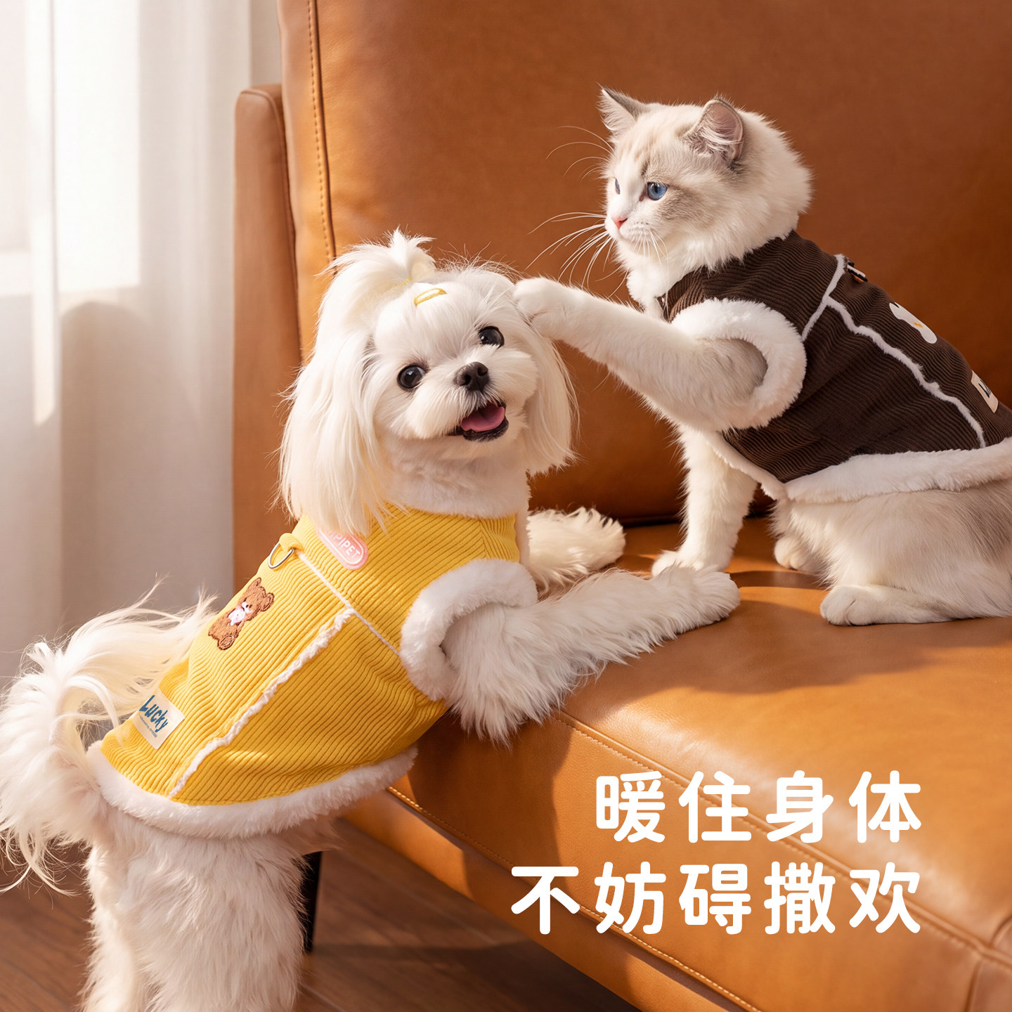 小狗狗衣服秋2026新款秋冬灯芯绒兔毛领马甲小型犬比熊泰迪雪纳瑞