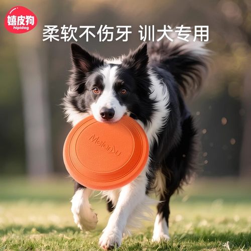 狗狗飞盘耐咬训狗专用飞盘边牧小狗小型犬户外宠物浮水飞碟狗玩具