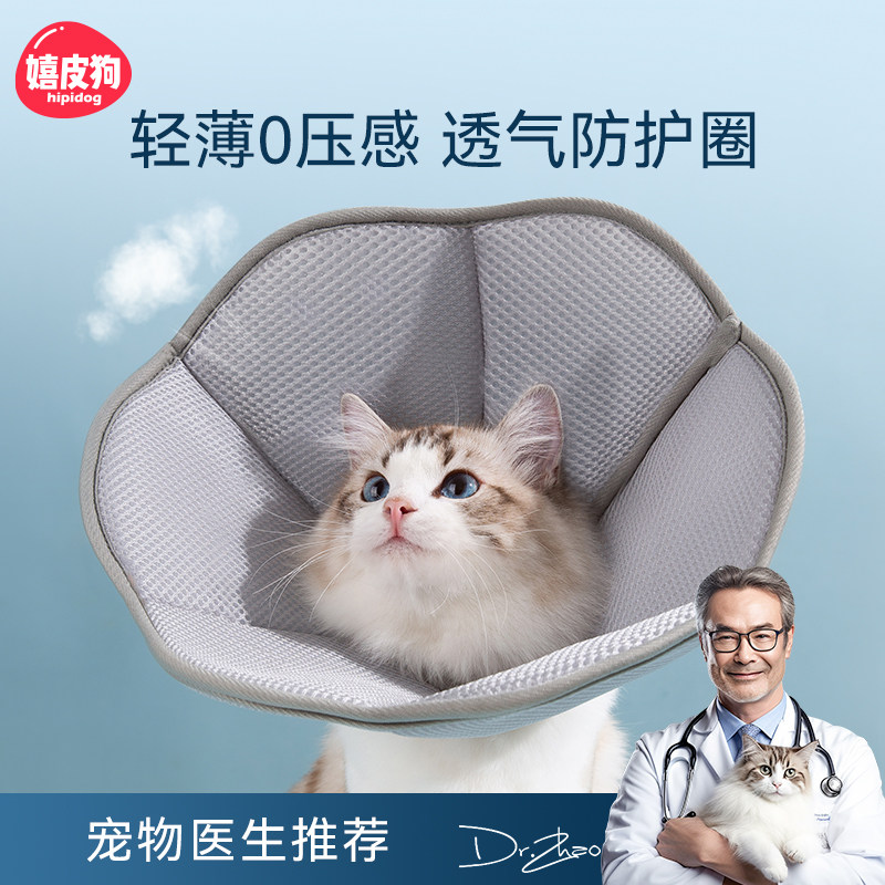 宠物猫咪伊丽莎白猫咪绝育项圈围脖柔软舒适头套防舔防咬猫咪神器,宠物/宠物食品及用品,项圈/肩带,淘宝优惠券,粉丝福利购,淘宝优惠卷